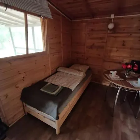 Apartament Sosnowy Zakatek Chomiaza Szlachecka Zewnętrze zdjęcie