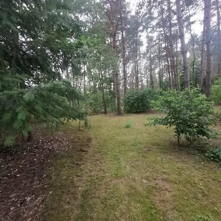 Apartament Sosnowy Zakatek Chomiaza Szlachecka Zewnętrze zdjęcie