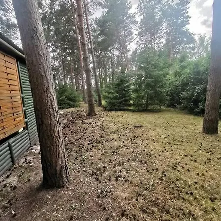 Apartament Sosnowy Zakatek Chomiaza Szlachecka Zewnętrze zdjęcie