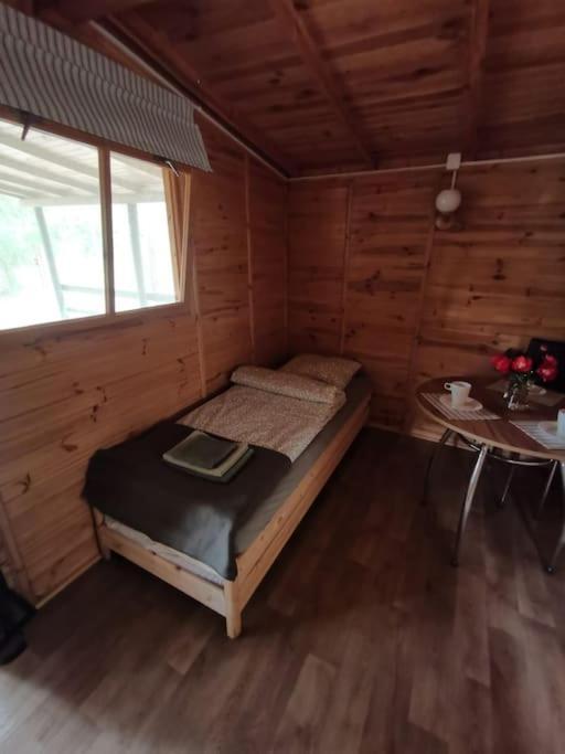 Sosnowy Zakatek Chomiaza Szlachecka