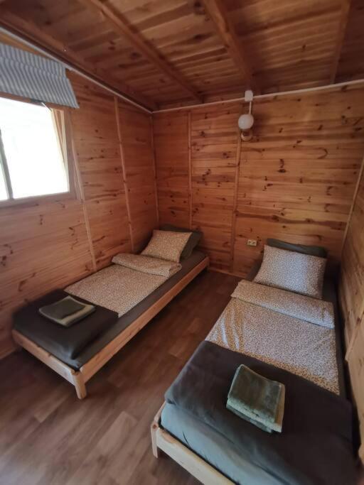 Sosnowy Zakatek Apartment Chomiaza Szlachecka