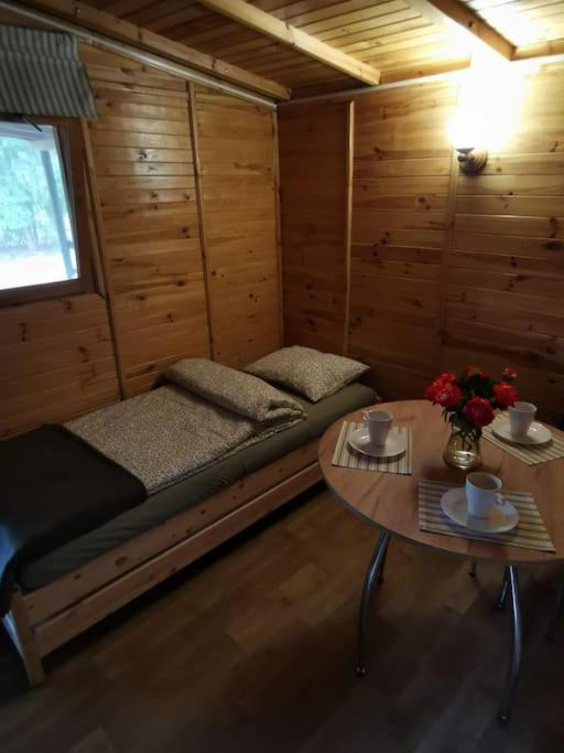 Sosnowy Zakatek Apartment Chomiaza Szlachecka